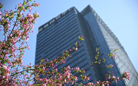 在服務(wù)區(qū)域，感受“花的海洋”